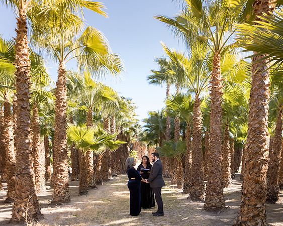 Green Gale Farms Wedding & Elopement Photography | Las Vegas