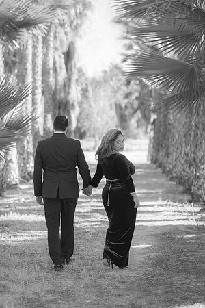 Green Gale Farms Wedding & Elopement Photography | Las Vegas