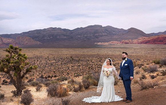 Red Rock Canyon Photo Shoots | Las Vegas Desert Photography