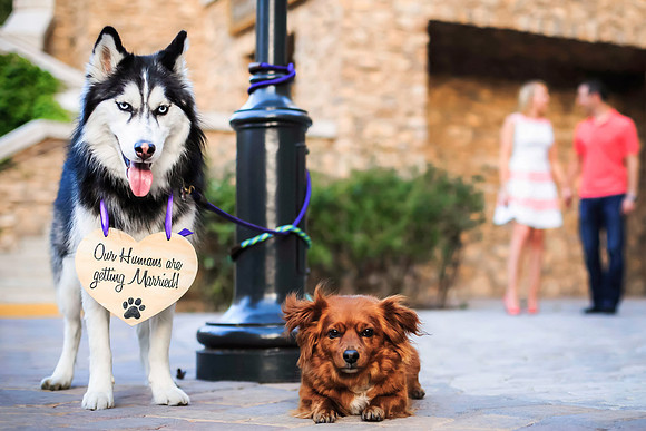 Las Vegas engagement photo shoot on the Strip by Glitter Lens Photography