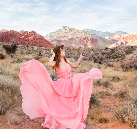 Calico Basin Photo Shoots & Weddings | Red Rock Canyon, Las Vegas