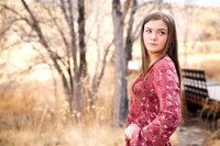 Calico Basin Photo Shoots & Weddings | Red Rock Canyon, Las Vegas