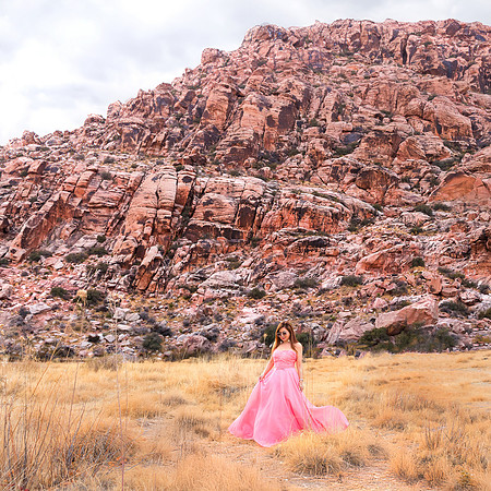 Calico Basin Photo Shoots & Weddings | Red Rock Canyon, Las Vegas