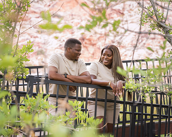 Calico Basin Photo Shoots & Weddings | Red Rock Canyon, Las Vegas