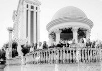 Las Vegas Family Photo Shoots | Professional Family Photography