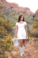 Calico Basin Photo Shoots & Weddings | Red Rock Canyon, Las Vegas