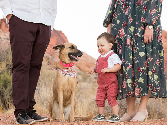 Calico Basin Photo Shoots & Weddings | Red Rock Canyon, Las Vegas