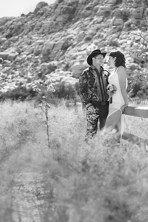 Calico Basin Photo Shoots & Weddings | Red Rock Canyon, Las Vegas