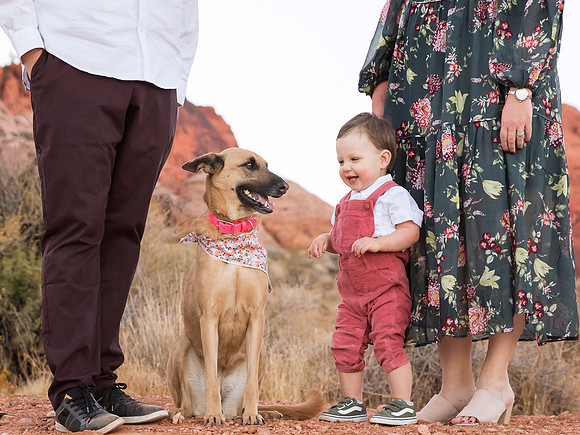 Las Vegas Family Photo Shoots | Professional Family Photography