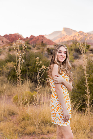 Calico Basin Photo Shoots & Weddings | Red Rock Canyon, Las Vegas